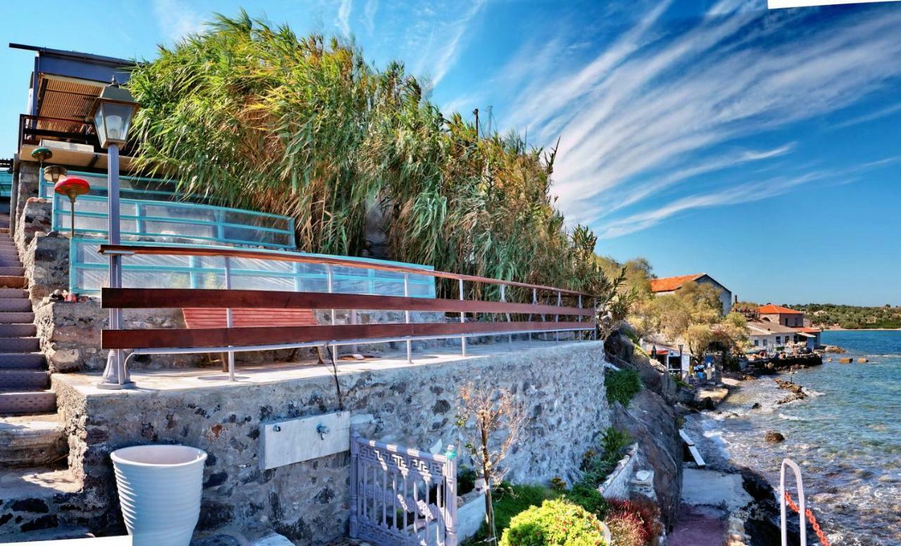 Container Luxury House Willa
