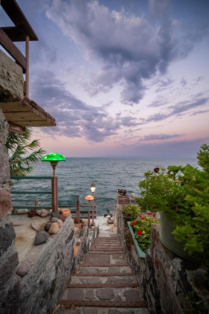Container Luxury House * Mytilene