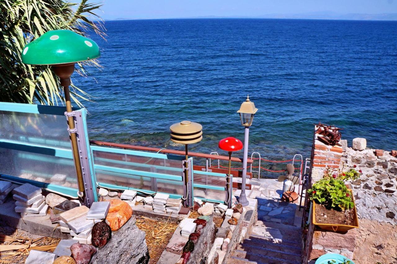 Container Luxury House * Mytilene