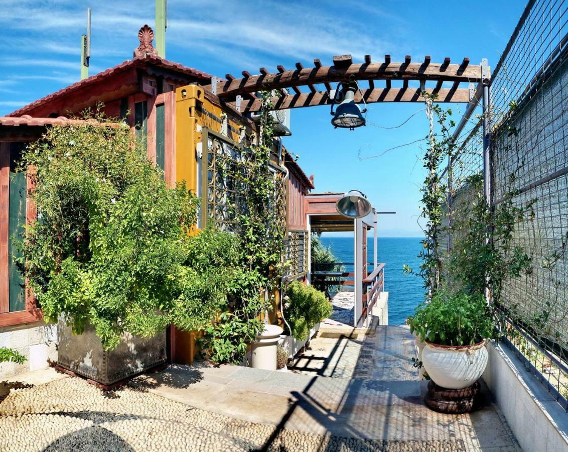 Villa Container Luxury House